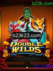 Explore o Excitante Mundo de DoubleWilds