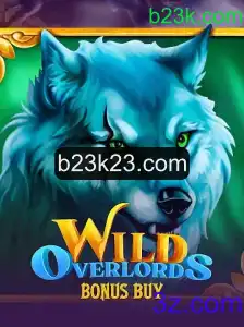 Explorando as Aventuras de WildOverlordsBonusBuy